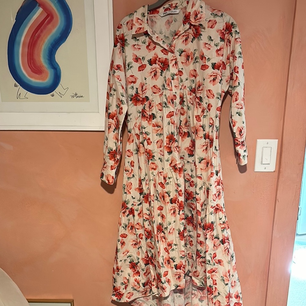 Zara Floral Long Sleeve Dress